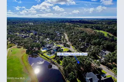 3158 Moss Hammock Wynd, Southport, NC 28461 - Photo 20