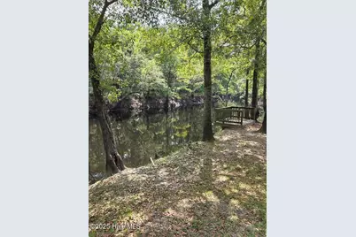 708 Albert Beatty Lane, Harrells, NC 28444 - Photo 68