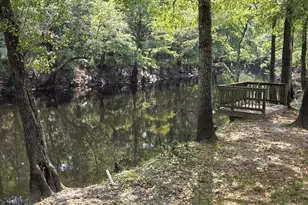 708 Albert Beatty Ln, Harrells, NC 28444 - Photo 68