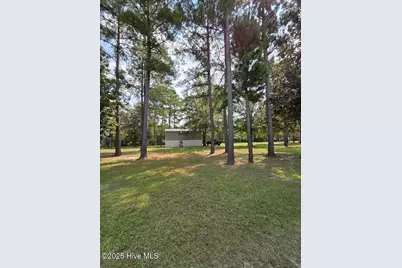 708 Albert Beatty Lane, Harrells, NC 28444 - Photo 56