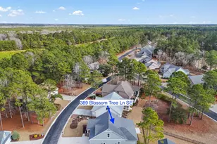 389 Blossom Tree Ln SE, Bolivia, NC 28422 - Photo 56