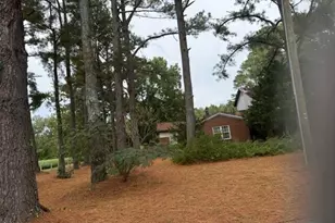 541 E Saluda Hall Rd, Ahoskie, NC 27910 - Photo 12