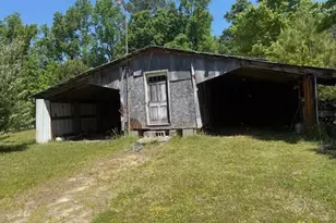 541 E Saluda Hall Rd, Ahoskie, NC 27910 - Photo 4