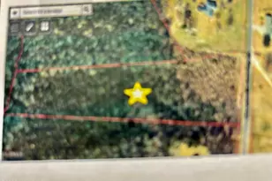 001 Stewartsville Cemetary Rd, Laurinburg, NC 28352 - Photo 1