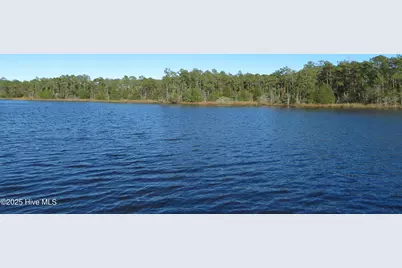 375 Tar Creek Road, Oriental, NC 28571 - Photo 1