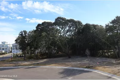 151 Auger Shell Court, Surf City, NC 28445 - Photo 52