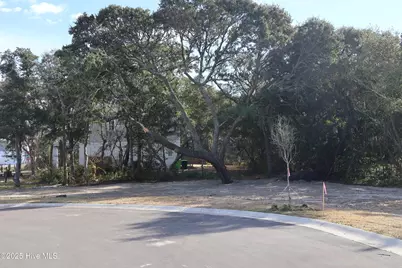 151 Auger Shell Court, Surf City, NC 28445 - Photo 46