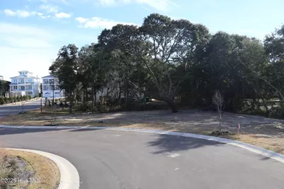 151 Auger Shell Court, Surf City, NC 28445 - Photo 48
