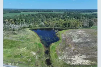 Tbd Cowpen Swamp Road, Fairmont, NC 28340 - Photo 4