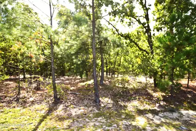1035 Mill Road, Jackson Springs, NC 27281 - Photo 2