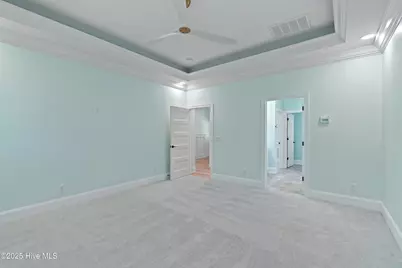 557 Button Bush Lane, Hampstead, NC 28443 - Photo 20