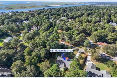 557 Button Bush Lane, Hampstead, NC 28443 - Photo 50