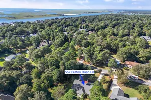 557 Button Bush Ln, Hampstead, NC 28443 - Photo 50