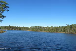 365 Tar Creek Rd, Oriental, NC 28571 - Photo 1