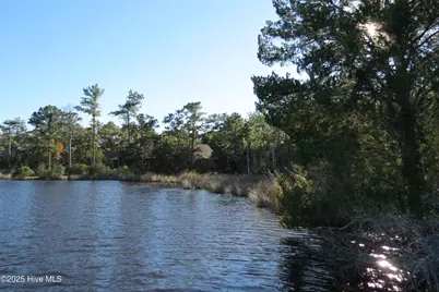 365 Tar Creek Road, Oriental, NC 28571 - Photo 16