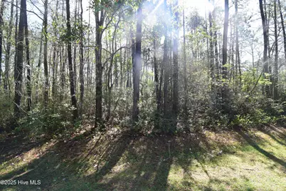 900 River Reach Court, New Bern, NC 28560 - Photo 1