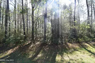 900 River Reach Ct, New Bern, NC 28560 - Photo 1