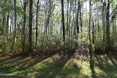 902 River Reach Court, New Bern, NC 28560 - Photo 1