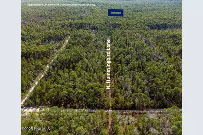 1042 N Hummingbird Lane SE, Southport, NC 28461 - Photo 2