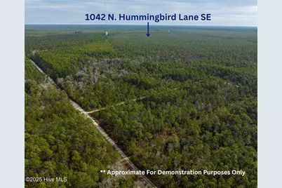1042 N Hummingbird Lane SE, Southport, NC 28461 - Photo 1