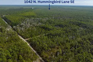 1042 N Hummingbird Ln SE, Southport, NC 28461 - Photo 1