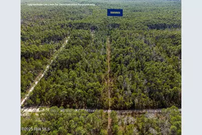 1042 N Hummingbird Lane SE, Southport, NC 28461 - Photo 4
