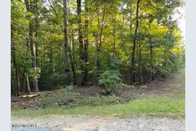 91A Palomino Road, Carthage, NC 28327 - Photo 4
