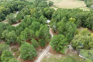 151 Godfrey Rd, Ellerbe, NC 28338 - Photo 38