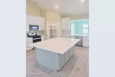 157 Big Hammock Point Road, Sneads Ferry, NC 28460 - Photo 10