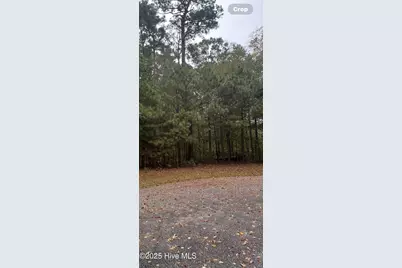 14 Broad River Drive, Hertford, NC 27944 - Photo 2
