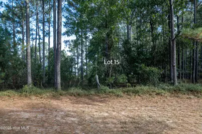 15 Old Tom Morris Road, Garland, NC 28441 - Photo 2