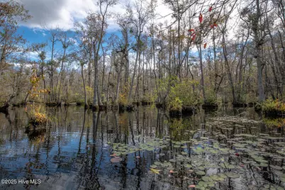 709 Everetts Mill Road, Rockingham, NC 28379 - Photo 84