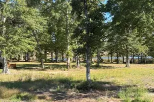 287 E Ivybridge Dr, Hubert, NC 28539 - Photo 26