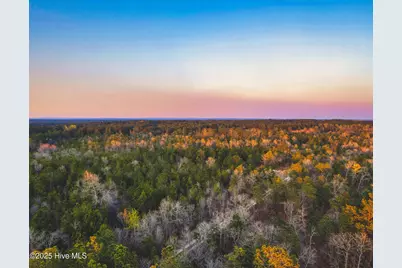 Hwy 15/501, Wagram, NC 28396 - Photo 2