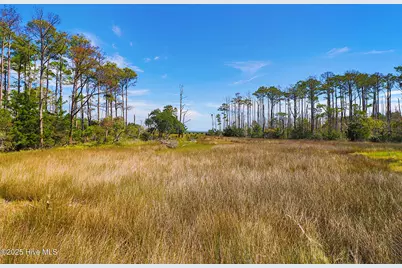 530 Freedom Park Road, Beaufort, NC 28516 - Photo 6