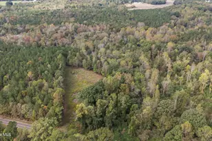 1435 Pineywood Church Rd, Cameron, NC 28326 - Photo 10