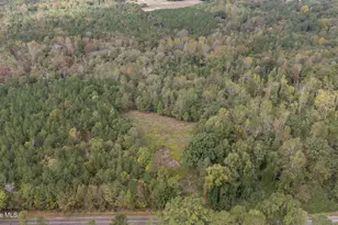 1435 Pineywood Church Rd, Cameron, NC 28326 - Photo 8