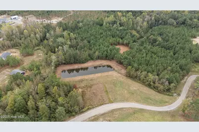 150 Hickory Pointer Way, Cameron, NC 28326 - Photo 6