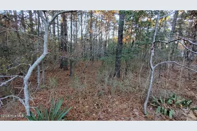 4 Brassie Circle, Jackson Springs, NC 27281 - Photo 6