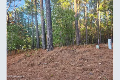 4 Brassie Circle, Jackson Springs, NC 27281 - Photo 2