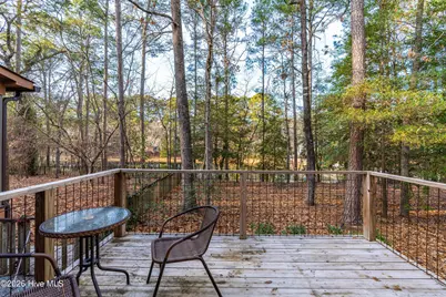 335 Sprunt Drive, Clinton, NC 28328 - Photo 44