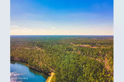 Tbd Raccoon Run, Wagram, NC 28396 - Photo 2