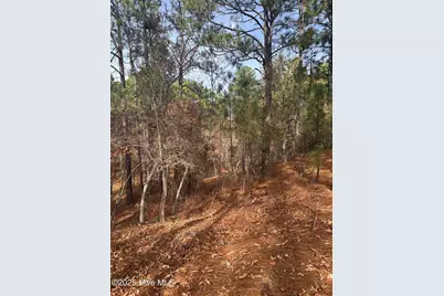 106 Parker Court, West End, NC 27376 - Photo 10