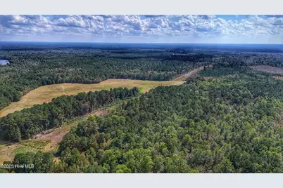 0 Burney Road, White Oak, NC 28399 - Photo 10