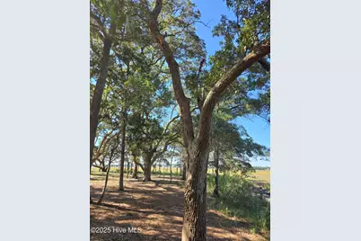 3810 Windy Point Road SW, Supply, NC 28462 - Photo 10
