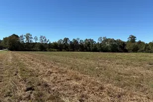 Vidalia 1 Nc 102 E, Ayden, NC 28513 - Photo 1