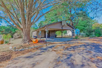 451 Tracy Brown Road, Magnolia, NC 28453 - Photo 14