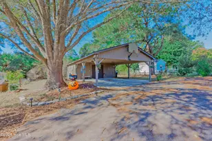 451 Tracy Brown Rd, Magnolia, NC 28453 - Photo 14