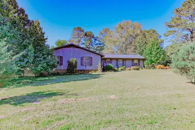 451 Tracy Brown Road, Magnolia, NC 28453 - Photo 4