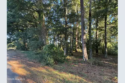 594 Medcalf Drive SW, Sunset Beach, NC 28468 - Photo 2